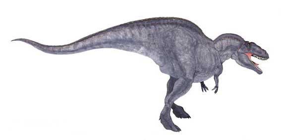 Acrocantossauro Acrocantossauro - AVPH