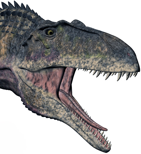 Acrocantossauro Acrocantossauro - AVPH