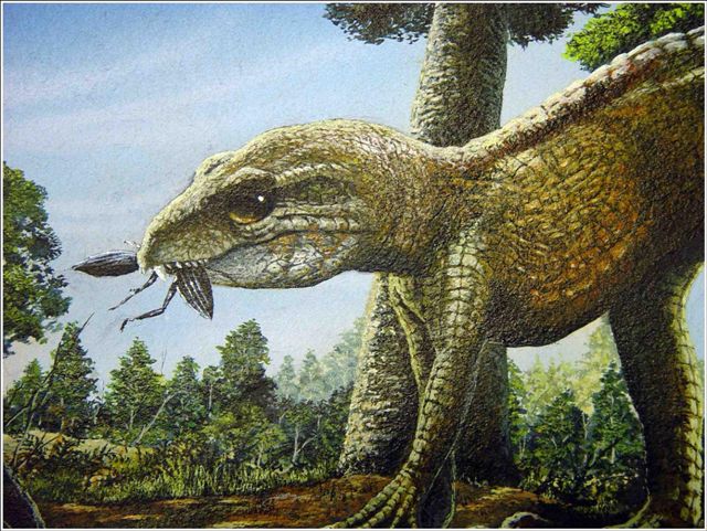 Adamantinasuchus - AVPH