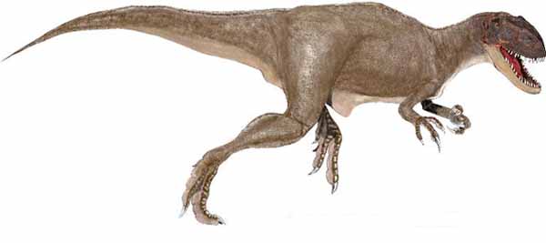 Afrovenator - AVPH
