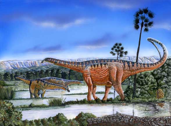 Amazonsaurus Amazonsaurus - AVPH