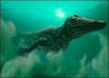 Ambulocetus - AVPH