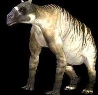 Ancylotherium - AVPH