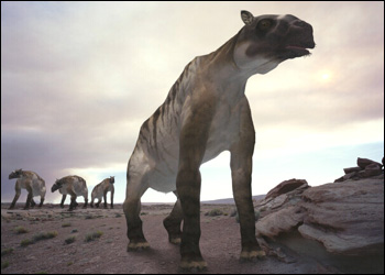 Ancylotherium - AVPH