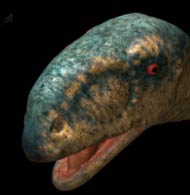 Anurognathus - AVPH