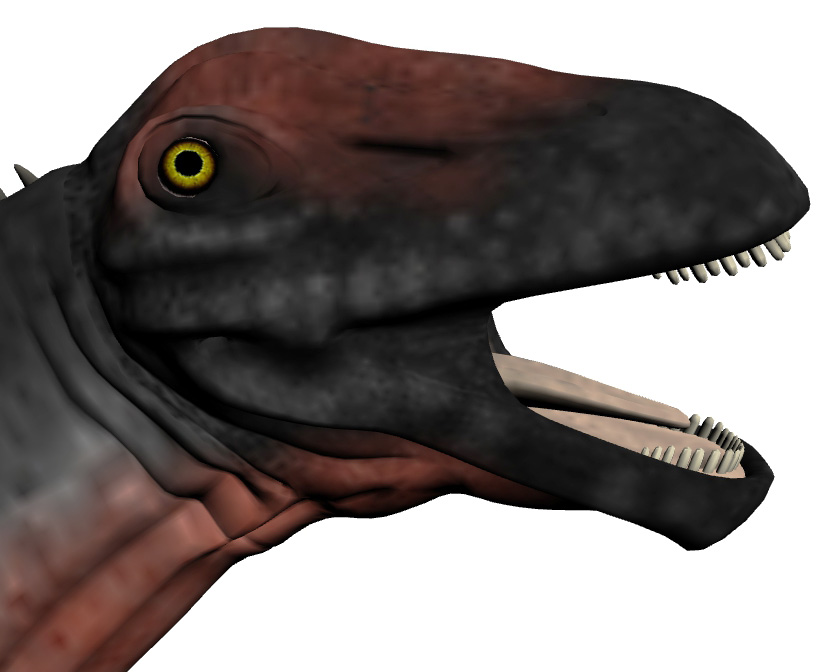 Apatosaurus ajax Apatosaurus ajax - AVPH