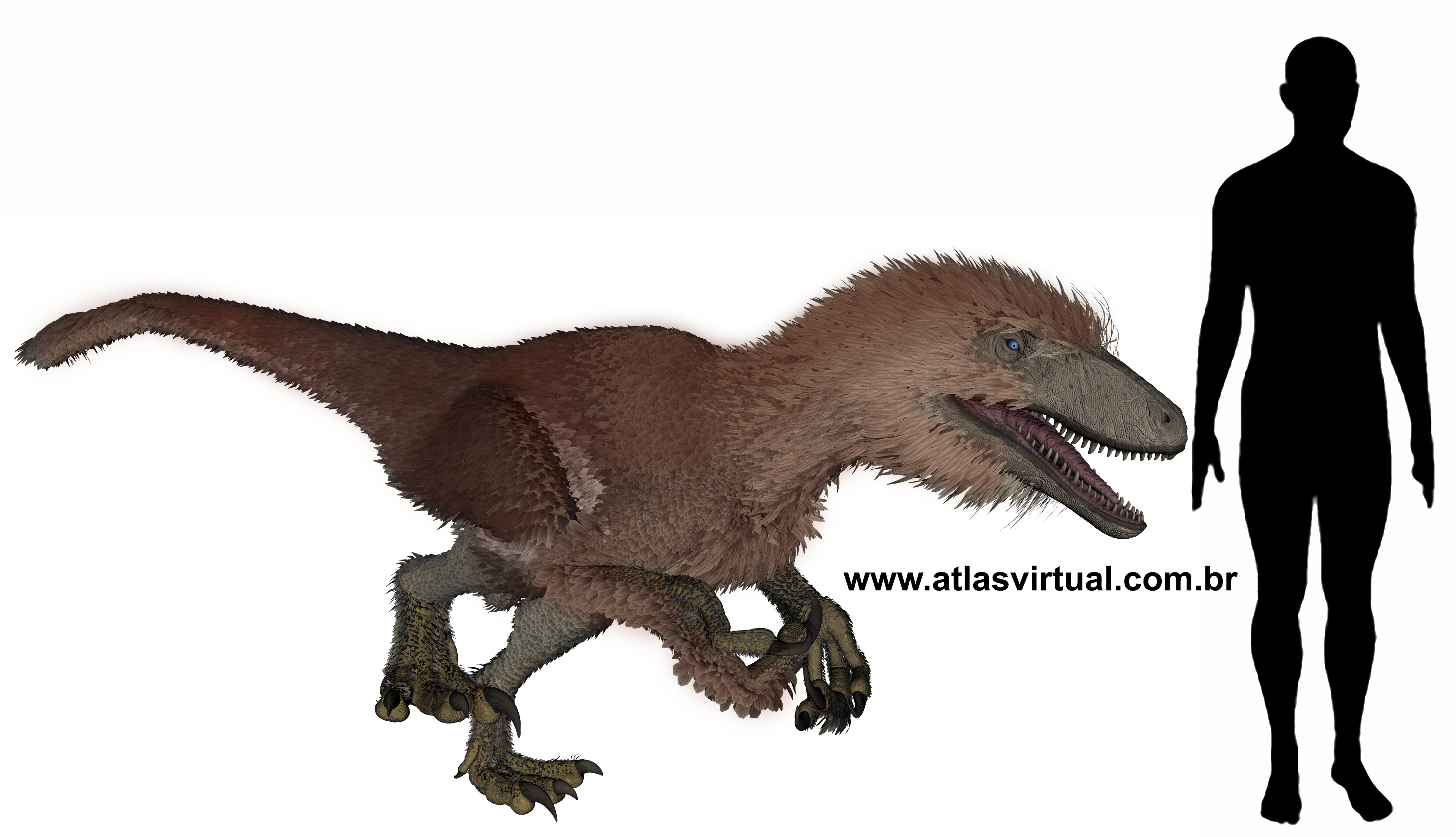 Aratasaurus museonacionali Aratasaurus museonacionali - AVPH