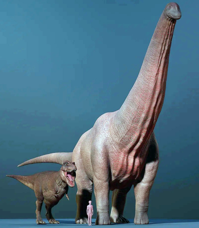 Argentinossauro Argentinossauro - AVPH