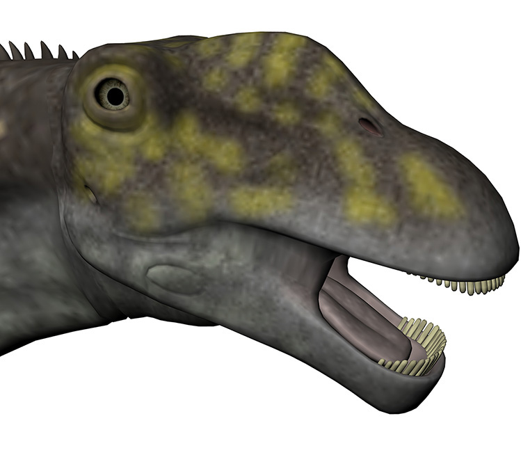Argentinossauro Argentinossauro - AVPH