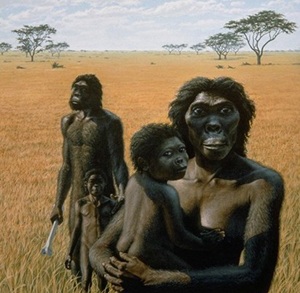 Australopithecus bahrelghazali - AVPH