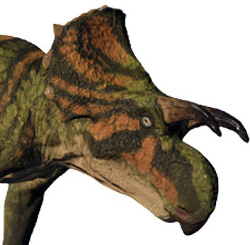 Avaceratops lammersi Avaceratops lammersi - AVPH