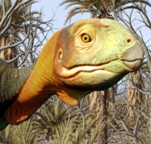 Berthasaura leopoldinae Berthasaura leopoldinae - AVPH