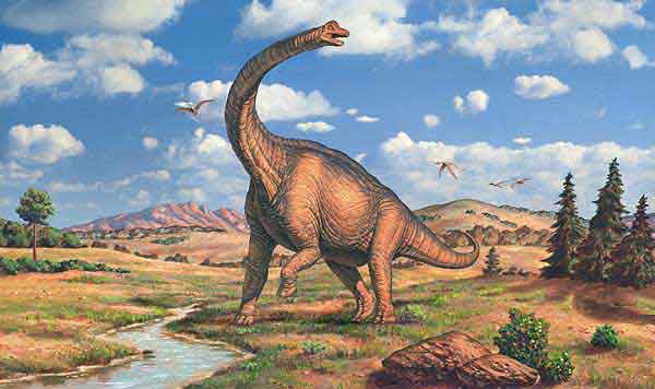 Brachiosaurus Brachiosaurus - AVPH