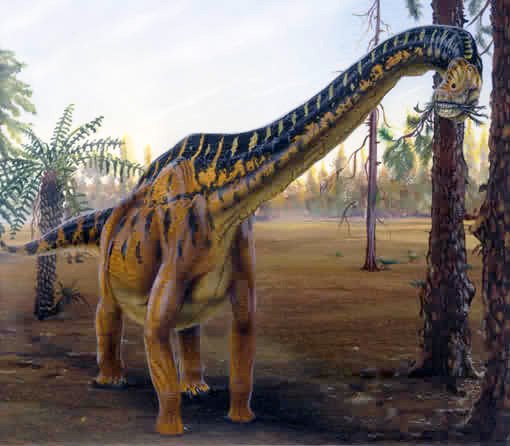 Brachiosaurus Brachiosaurus - AVPH
