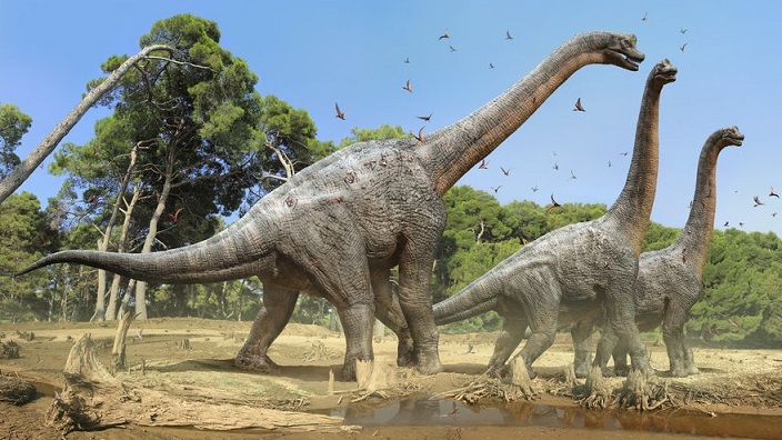 Brachiosaurus Brachiosaurus - AVPH