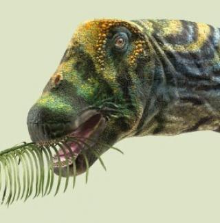 Brasilotitan - AVPH