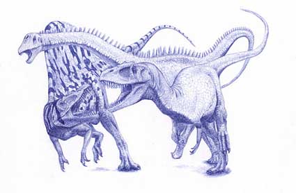 Carcharodontossauro - AVPH