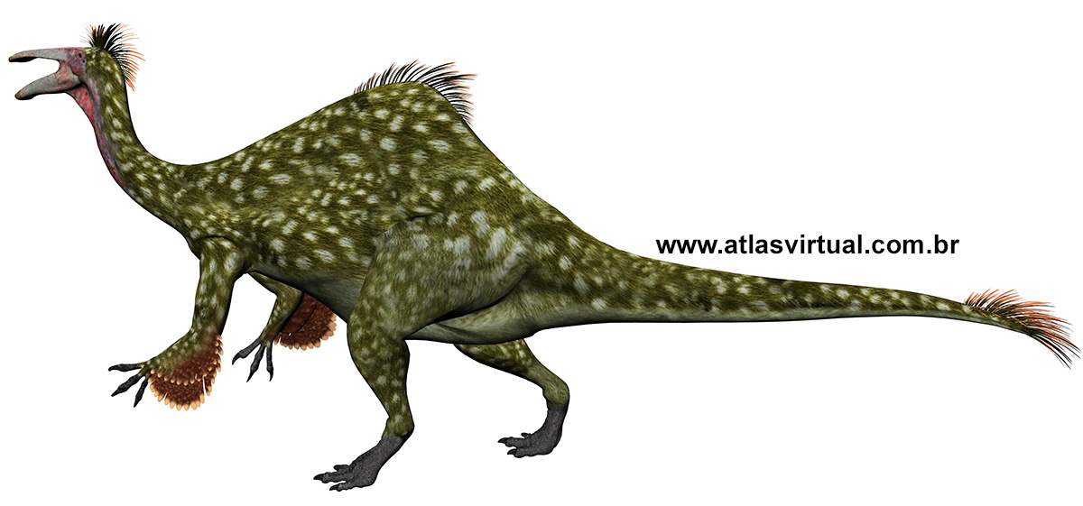 Deinocheirus mirificus - AVPH