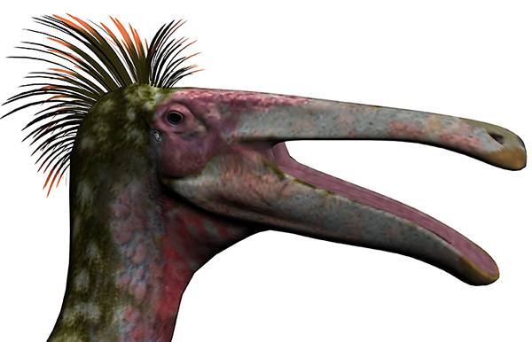 Deinocheirus mirificus - AVPH