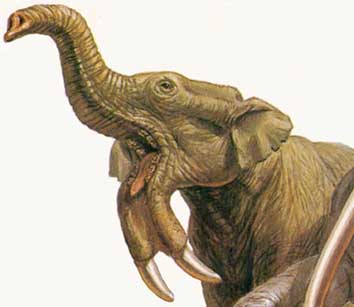 Deinotherium giganteum Deinotherium giganteum - AVPH