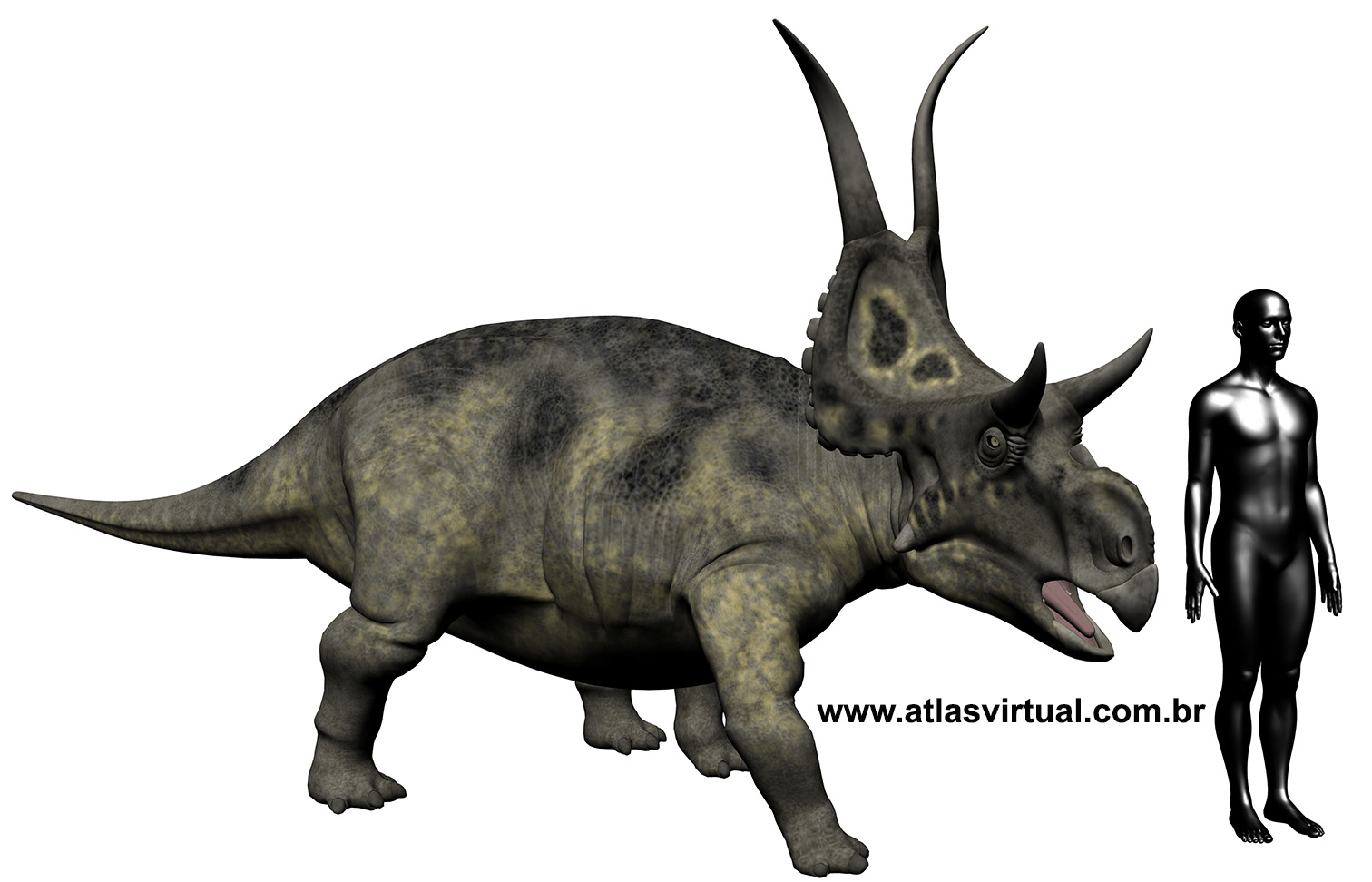Diabloceratops eatoni Diabloceratops eatoni - AVPH