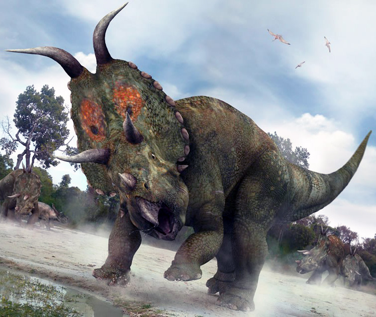 Diabloceratops eatoni Diabloceratops eatoni - AVPH