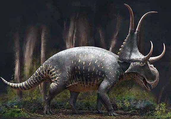 Diabloceratops eatoni Diabloceratops eatoni - AVPH
