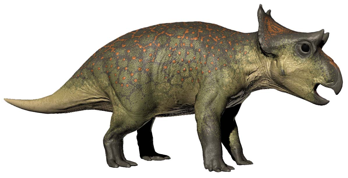 Diabloceratops eatoni Diabloceratops eatoni - AVPH