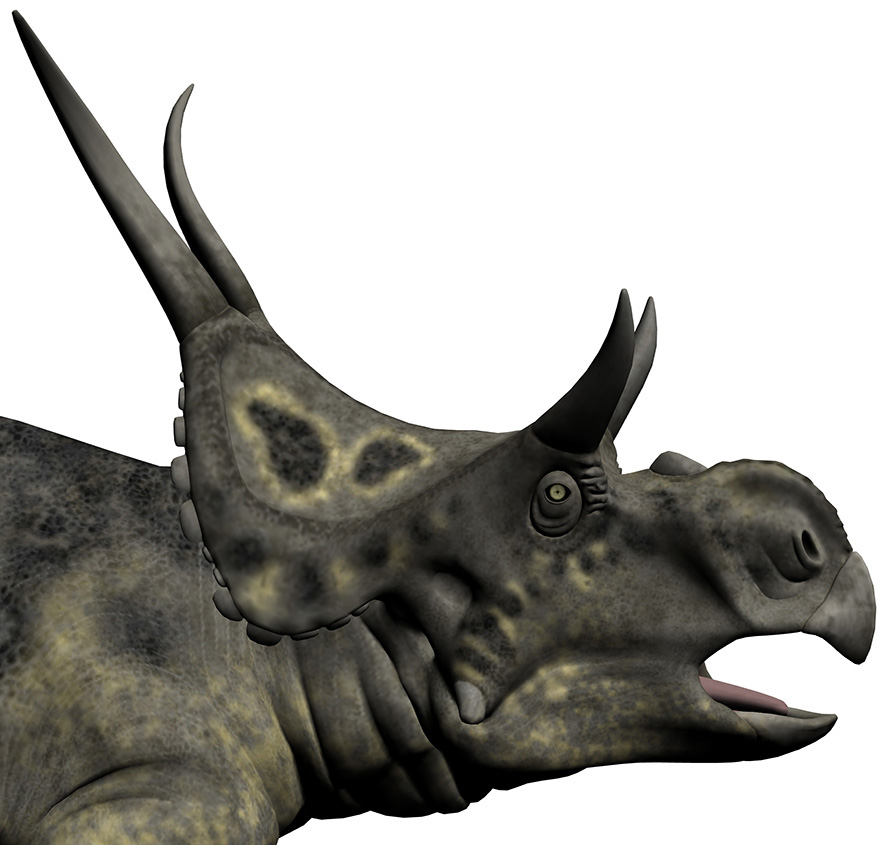 Diabloceratops eatoni Diabloceratops eatoni - AVPH
