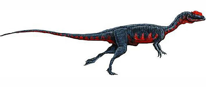 Dilophosaurus wetherilli Dilophosaurus wetherilli - AVPH