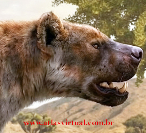 Hiena Terrível - AVPH