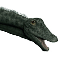 Diplodocus Diplodocus - AVPH