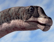 Dreadnoughtus - AVPH