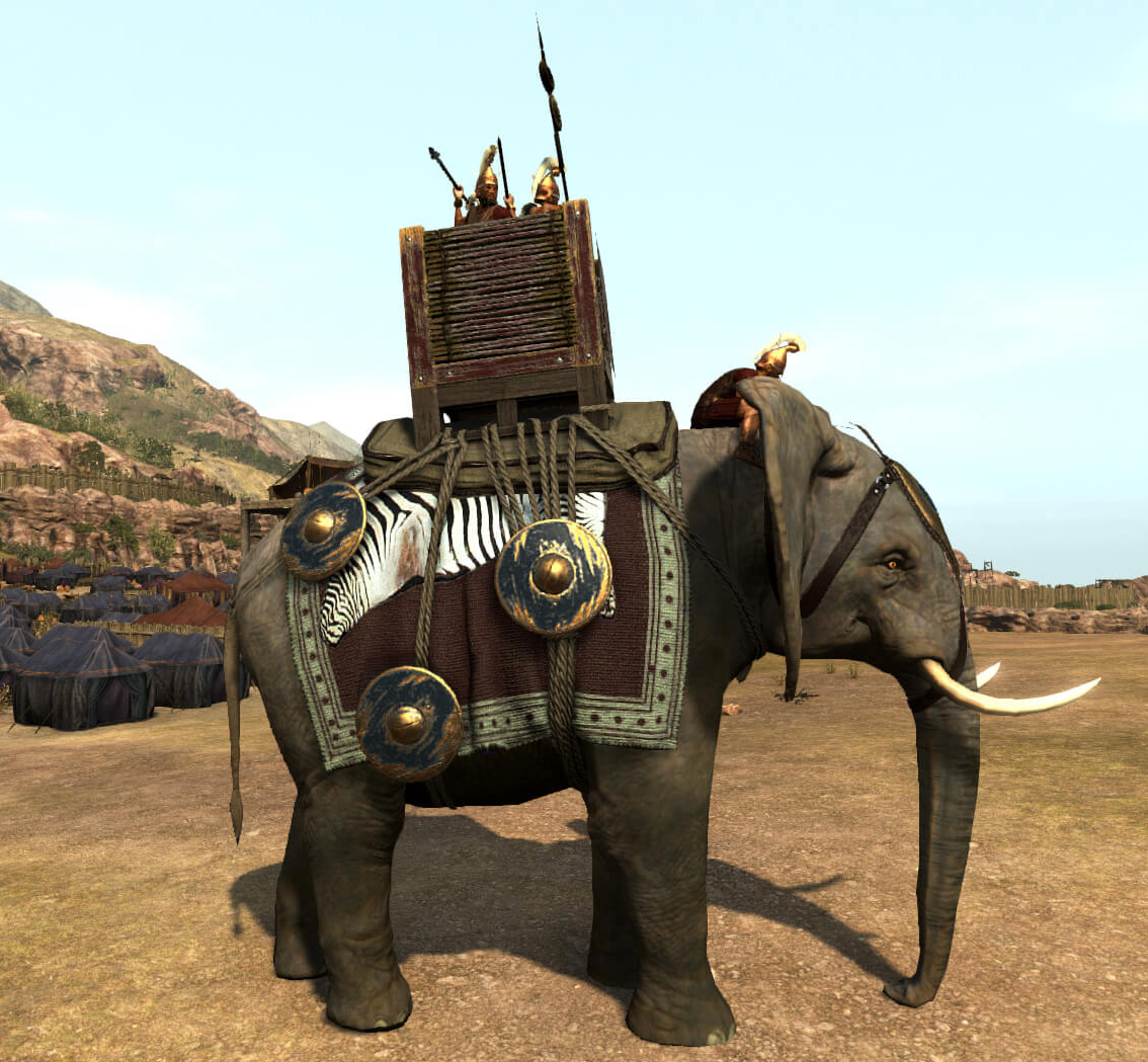 Elefante de guerra - AVPH