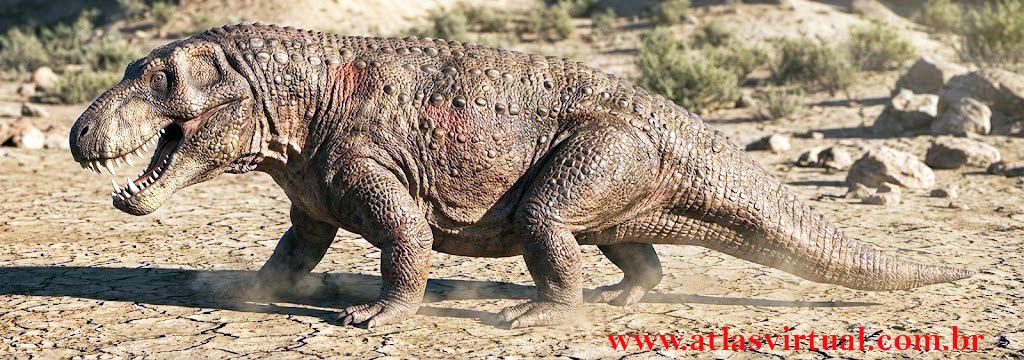 Erythrosuchus africanus - AVPH