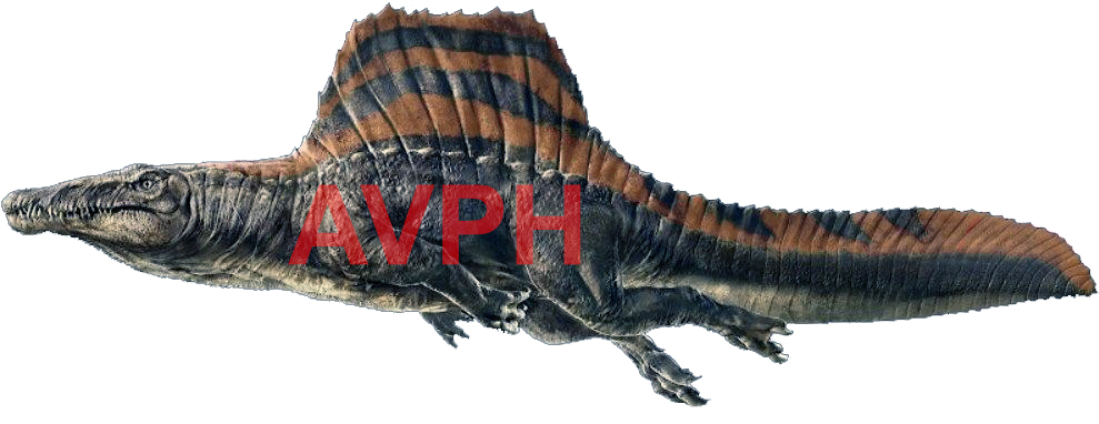 Espinossauro Espinossauro - AVPH