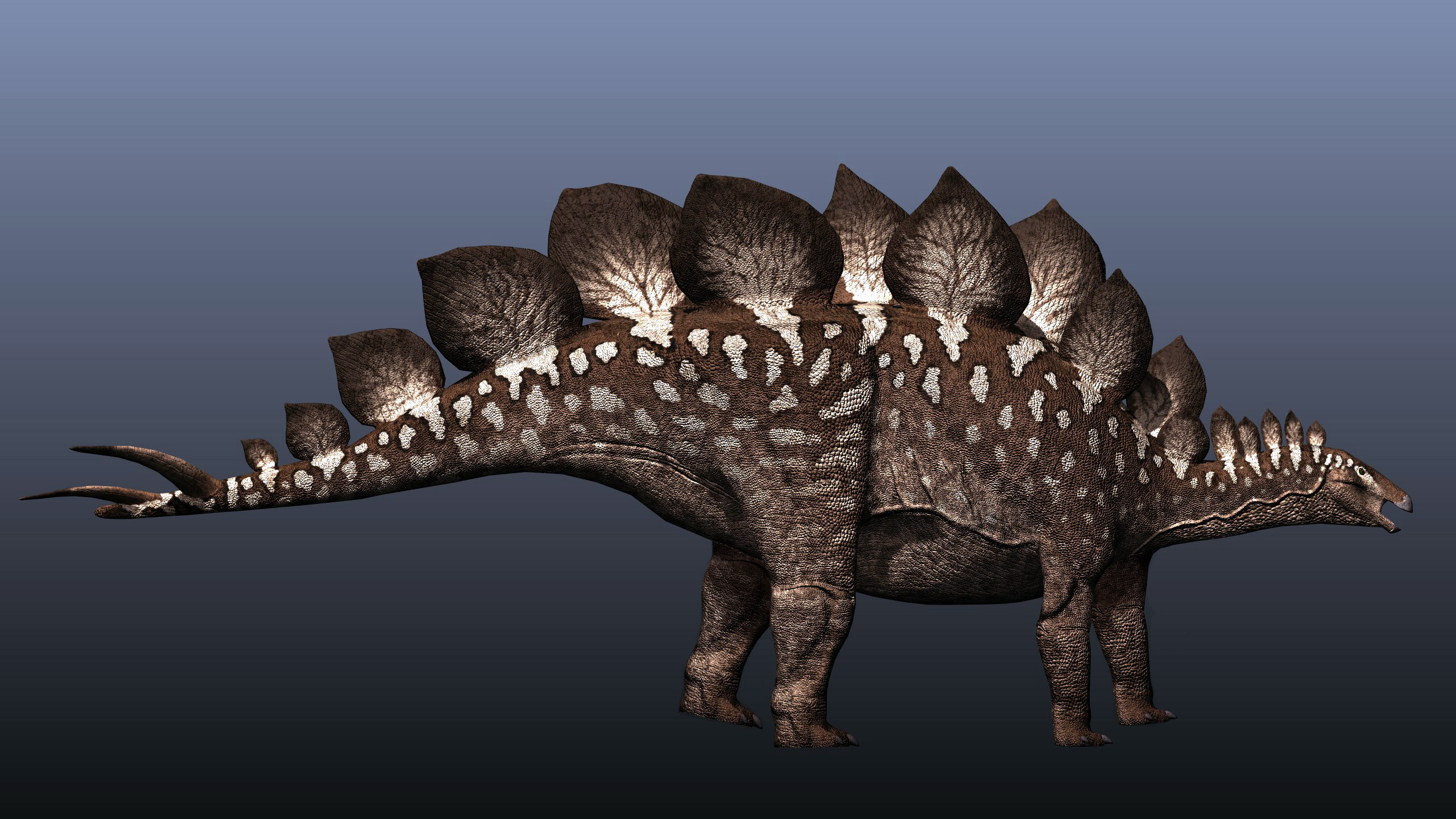 Stegosaurus stenops Stegosaurus stenops - AVPH