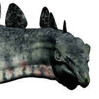 Stegosaurus stenops Stegosaurus stenops - AVPH