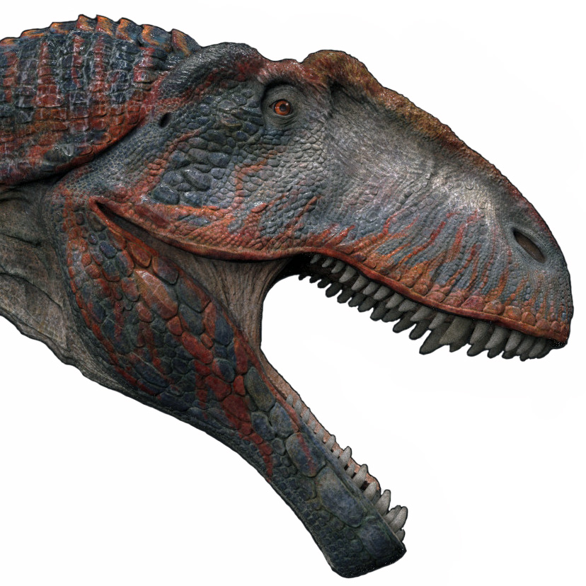 Giganotosaurus carolinii - AVPH
