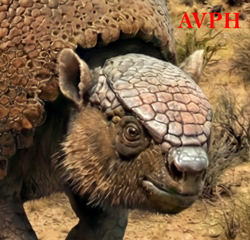 Glyptodon clavipes - AVPH