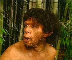 Homo erectus - AVPH
