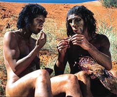 Homo ergaster - AVPH