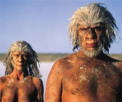 Homo ergaster - AVPH