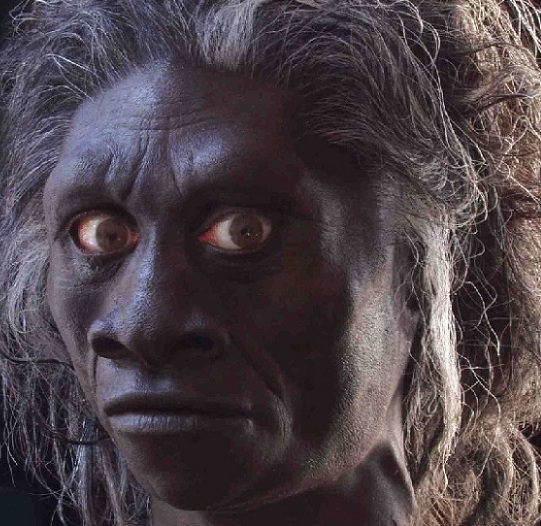 Homo floresiensis - AVPH
