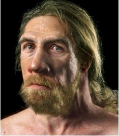 Neandertal - AVPH