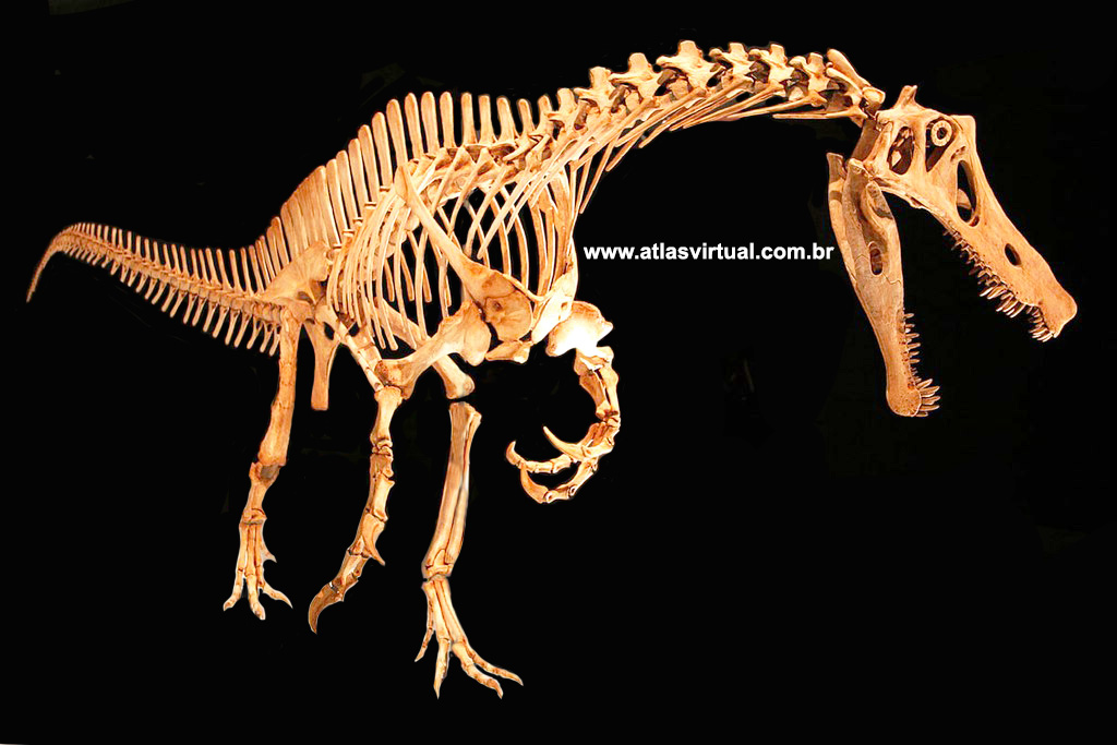Irritator challengeri Irritator challengeri - AVPH