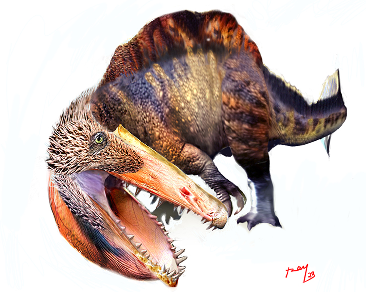 Irritator challengeri Irritator challengeri - AVPH