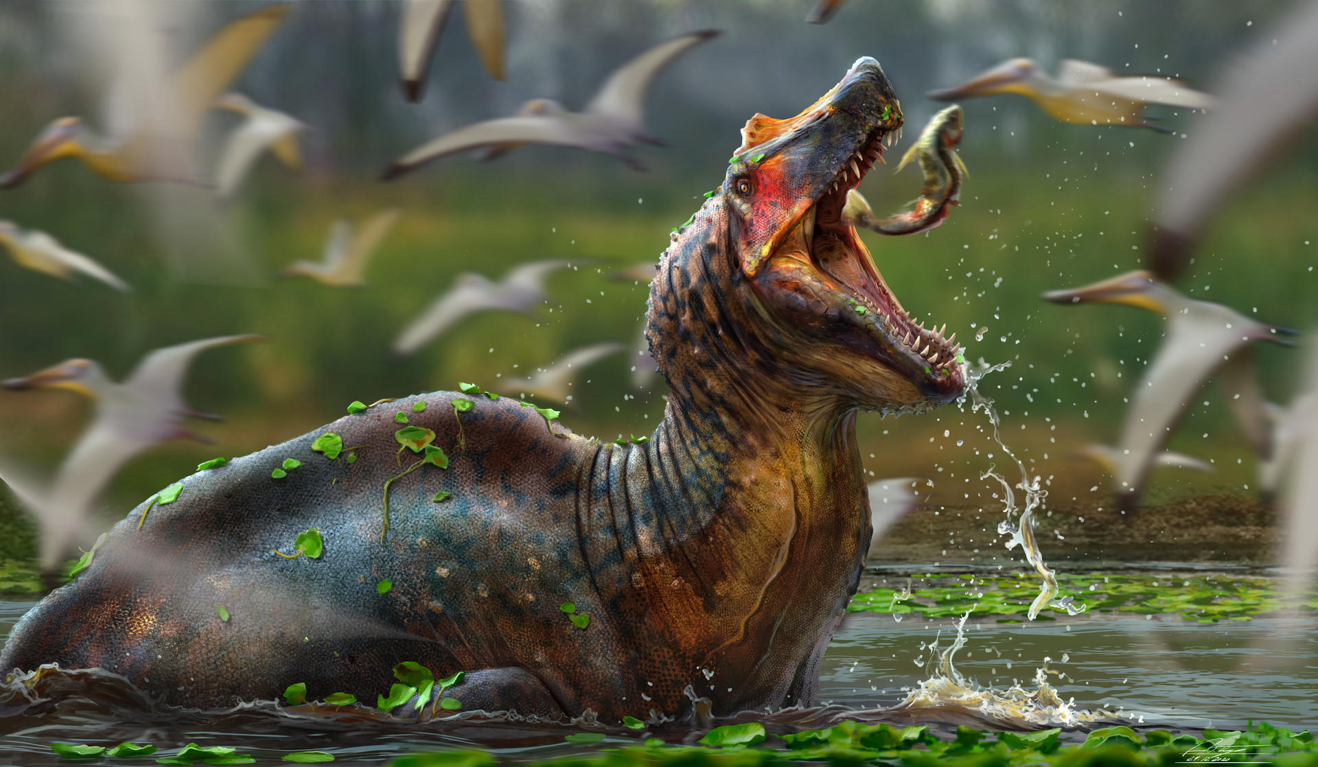 Irritator challengeri Irritator challengeri - AVPH
