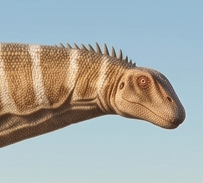 Isisaurus colberti - AVPH