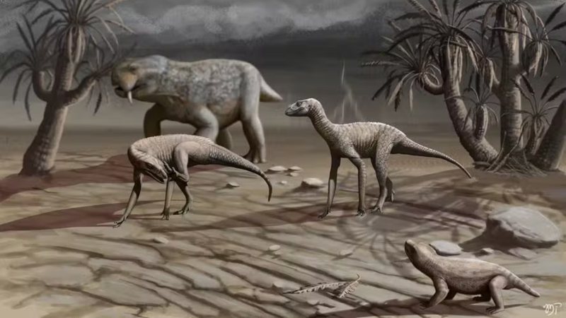 Itaguyra Itaguyra - AVPH